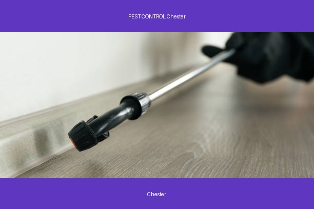 PEST CONTROL Chester